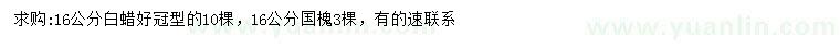 求購16公分白蠟、國槐