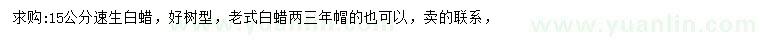 求購(gòu)15公分速生白蠟