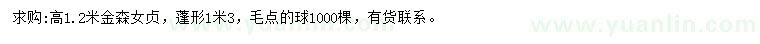 求購(gòu)高1.2米金森女貞