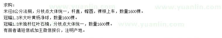 求購法桐、大葉黃楊、紅葉石楠
