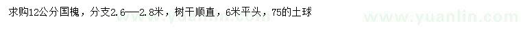 求購12公分國槐