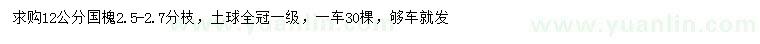 求購12公分國槐