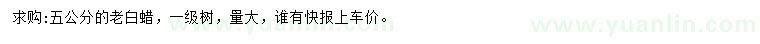 求購5公分老白蠟