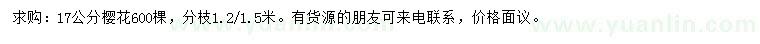 求購(gòu)17公分櫻花
