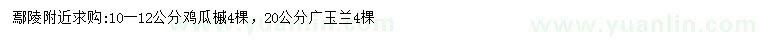 求購10-12公分雞瓜槭、20公分廣玉蘭