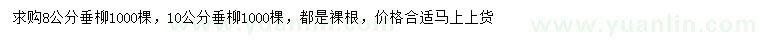 求購(gòu)8、10公分垂柳