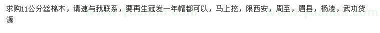 求購11公分絲棉木