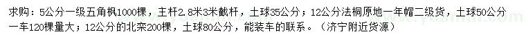 求購五角楓、法桐、北欒