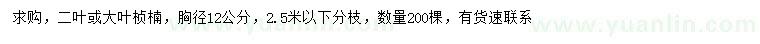求購胸徑12公分二葉或大葉楨楠