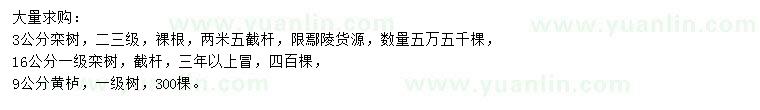 求購3、16公分欒樹、9公分黃櫨