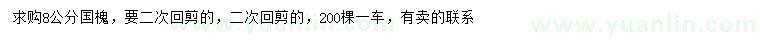 求購8公分國槐