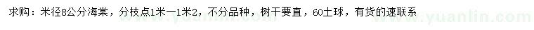 求購米徑8公分海棠