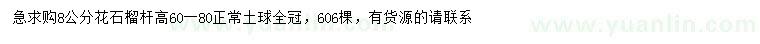 求購8公分花石榴