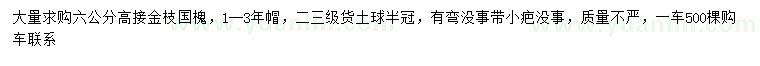 求購(gòu)6公分金枝國(guó)槐