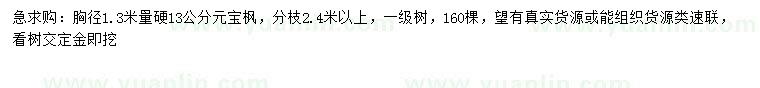 求購胸徑1.3米量硬13公分元寶楓