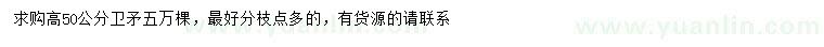 求購(gòu)高50公分衛(wèi)矛