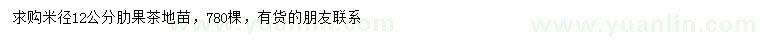 求購(gòu)米徑12公分肋果茶