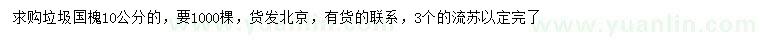 求購10公分國槐