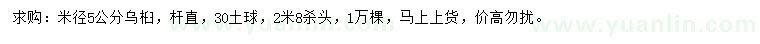 求購米徑5公分烏桕