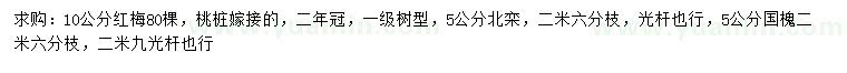 求購紅梅、北欒、國(guó)槐