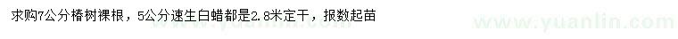 求購(gòu)7公分椿樹(shù)、5公分速生白蠟