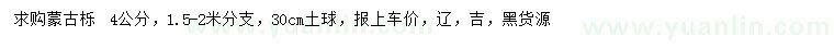 求購4公分蒙古櫟