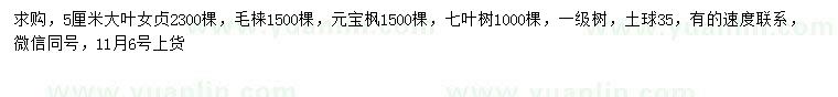 求購大葉女貞、毛梾、元寶楓等