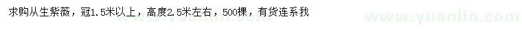 求購(gòu)高2.5米叢生紫薇