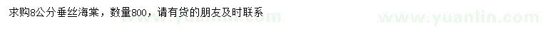 求購8公分垂絲海棠