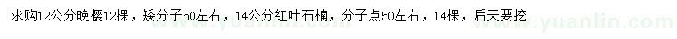 求購12公分晚櫻、14公分紅葉石楠