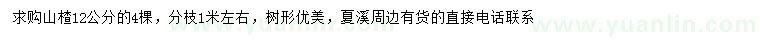 求購12公分山楂樹