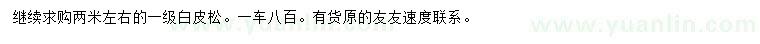 求購2米左右白皮松