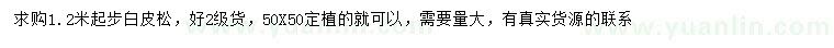 求購(gòu)1.2米以上白皮松