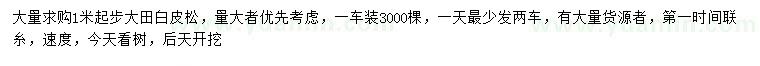求購(gòu)1米以上白皮松