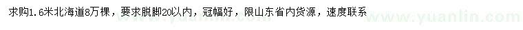 求購1.6米北海道