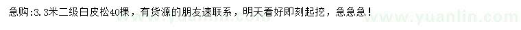 求購3.3米白皮松