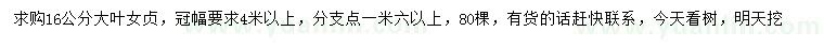 求購(gòu)16公分大葉女貞