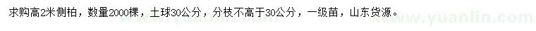求購高2米側(cè)柏