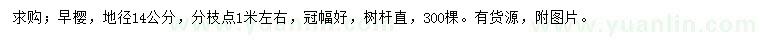 求購地徑14公分早櫻