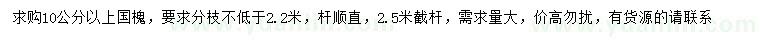 求購(gòu)10公分以上國(guó)槐