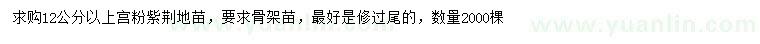 求購12公分以上宮粉紫荊