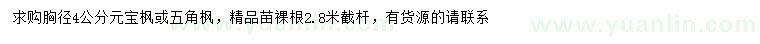 求購胸徑4公分元寶楓或五角楓