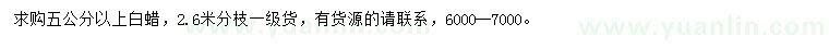 求購5公分以上白蠟