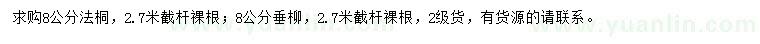 求購(gòu)8公分法桐、垂柳