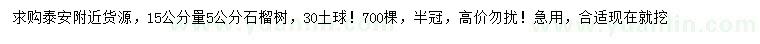 求購(gòu)15公分量5公分石榴樹(shù)