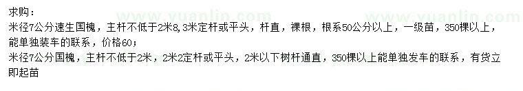求購(gòu)米徑7公分速生國(guó)槐、國(guó)槐