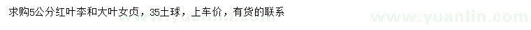 求購(gòu)5公分紅葉李、大葉女貞