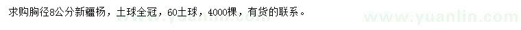 求購胸徑8公分新疆楊