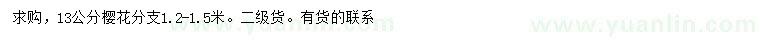 求購(gòu)13公分櫻花