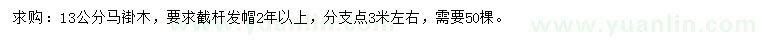 求購13公分馬褂木